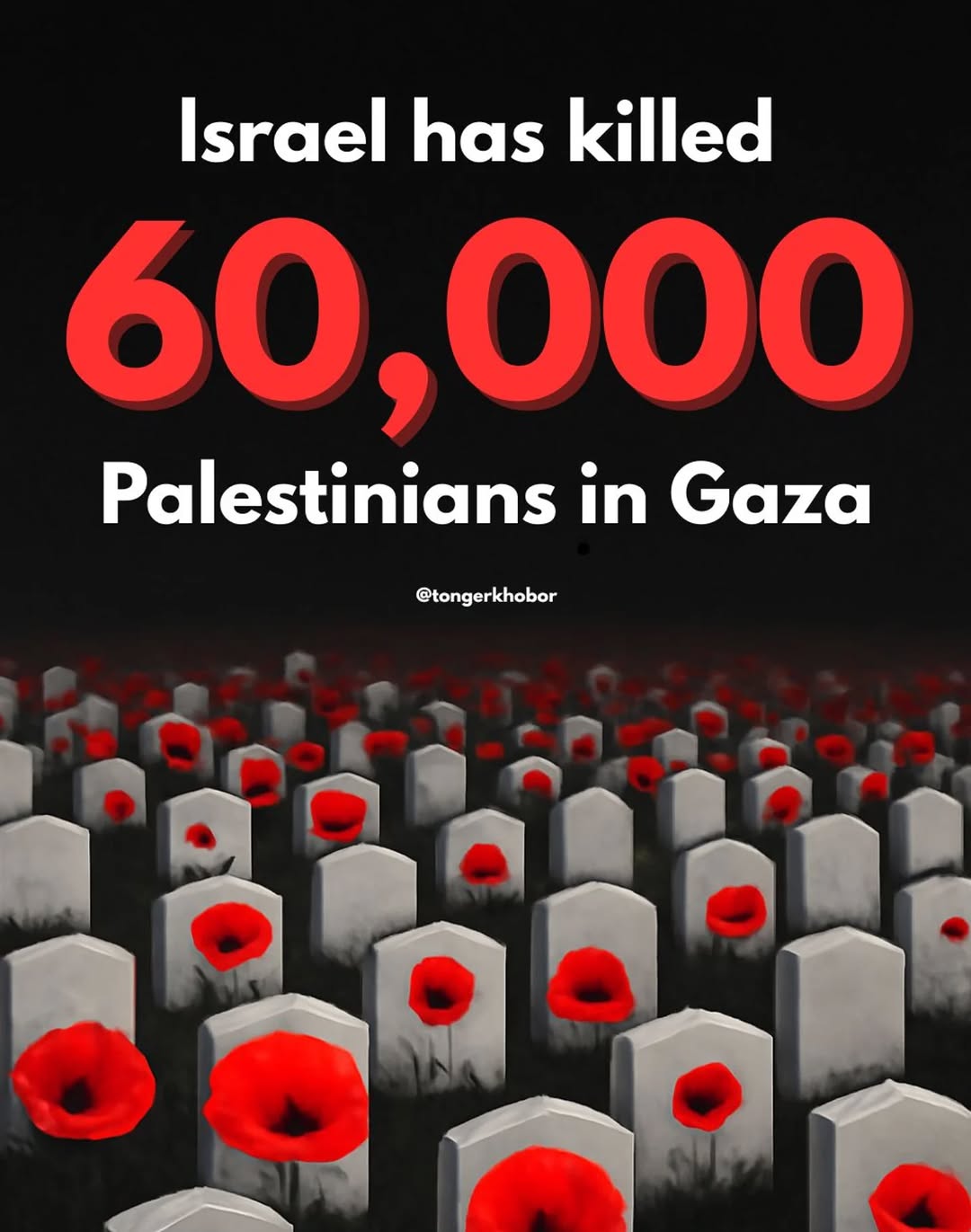 As of July 29, 2025, the Gaza Health Ministry reports that at least 60,034 Palestinians have been killed and nearly 146,000 injured since the onset of...