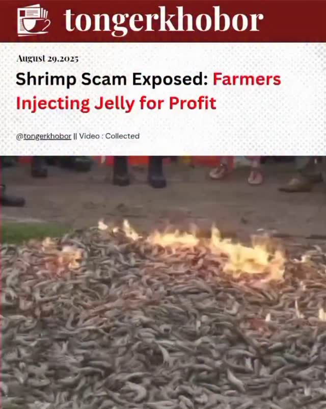 In a village in Bangladesh, RAB uncovered a shocking shrimp farming scam where farmers were injecting jelly into shrimps to increase weight and sell t...