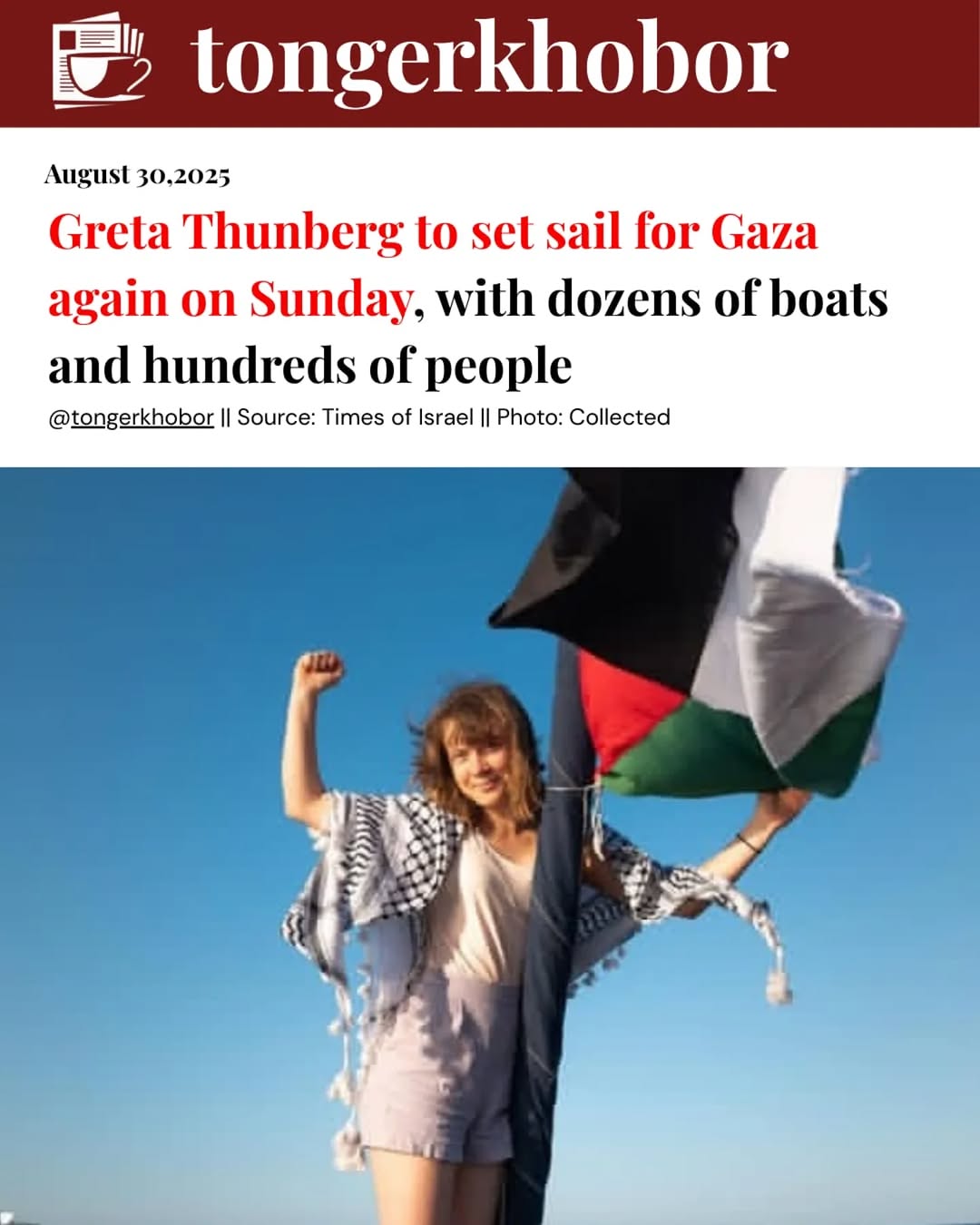 Hundreds of pro-Palestinian activists from 44 countries, including climate activist Greta Thunberg and Portuguese lawmaker Mariana Mortágua, are prepa...