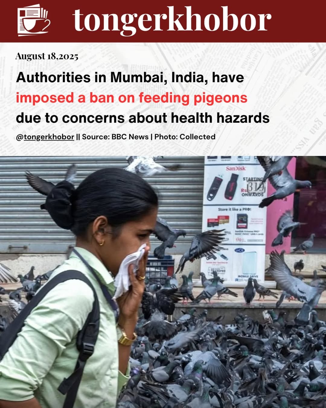 Mumbai bans pigeon feeding after Bombay High Court’s July 31 directive.