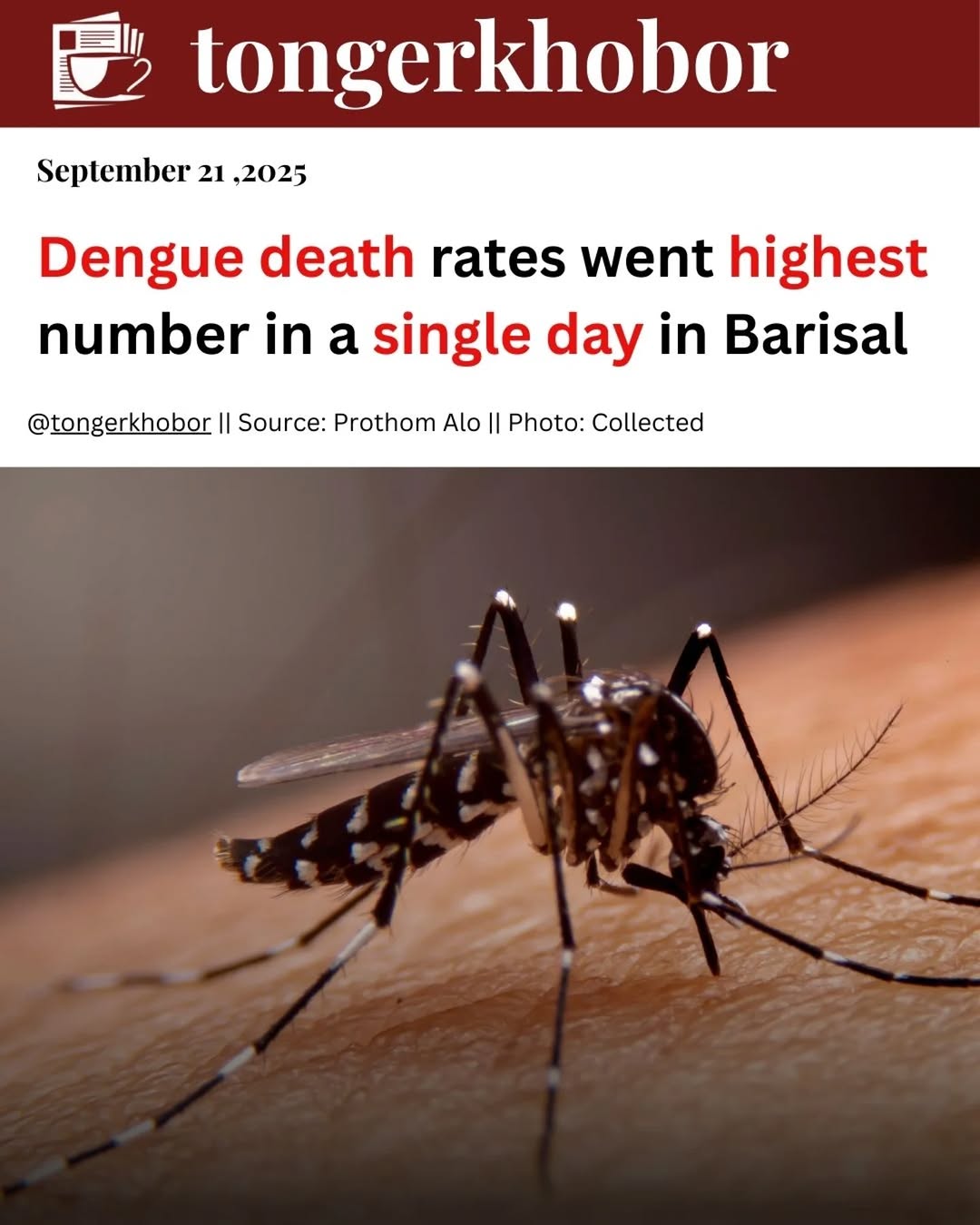 Dengue infections and deaths are increasing in the country.