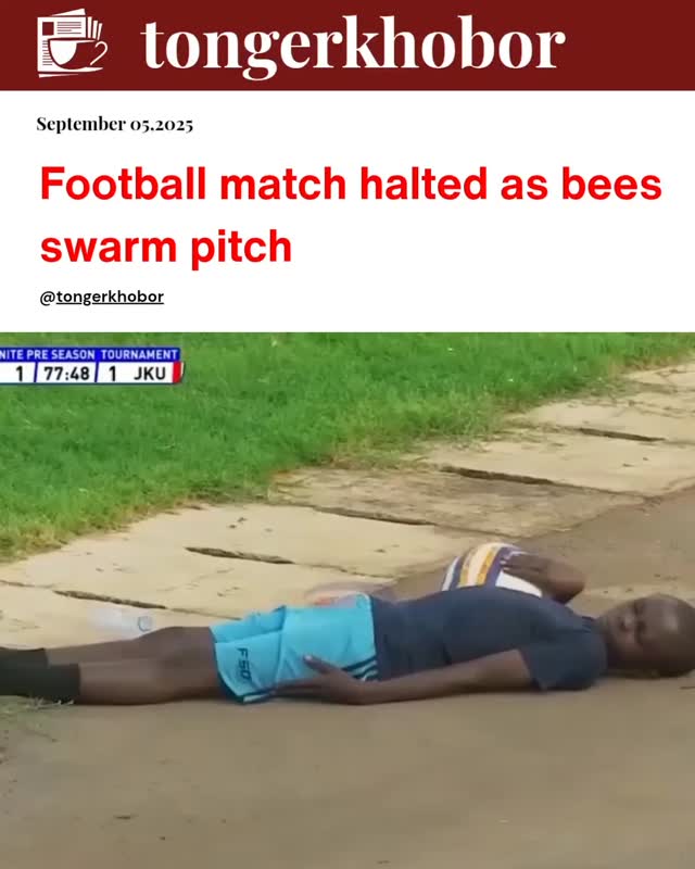 A swarm of bees halted a pre-season football match in Babati, Tanzania, as players, referees, and camera crew were forced to lie flat on the ground to...