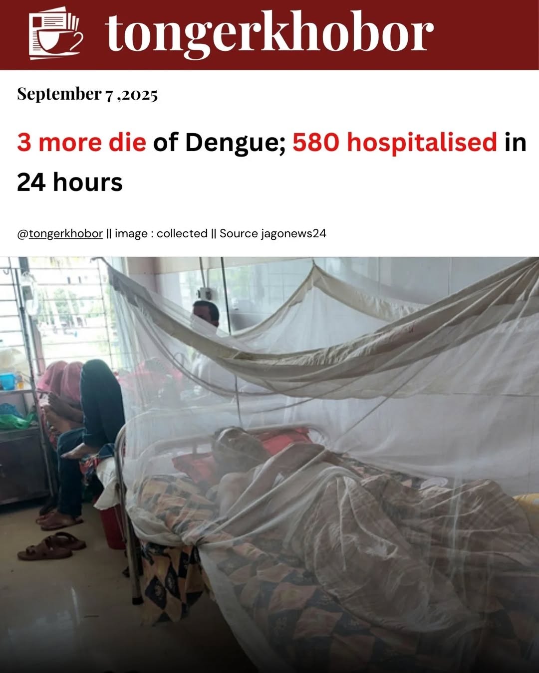 Three more deaths from dengue were reported in the 24 hours up to Sunday morning, raising the total fatalities from the mosquito-borne disease in Bang...