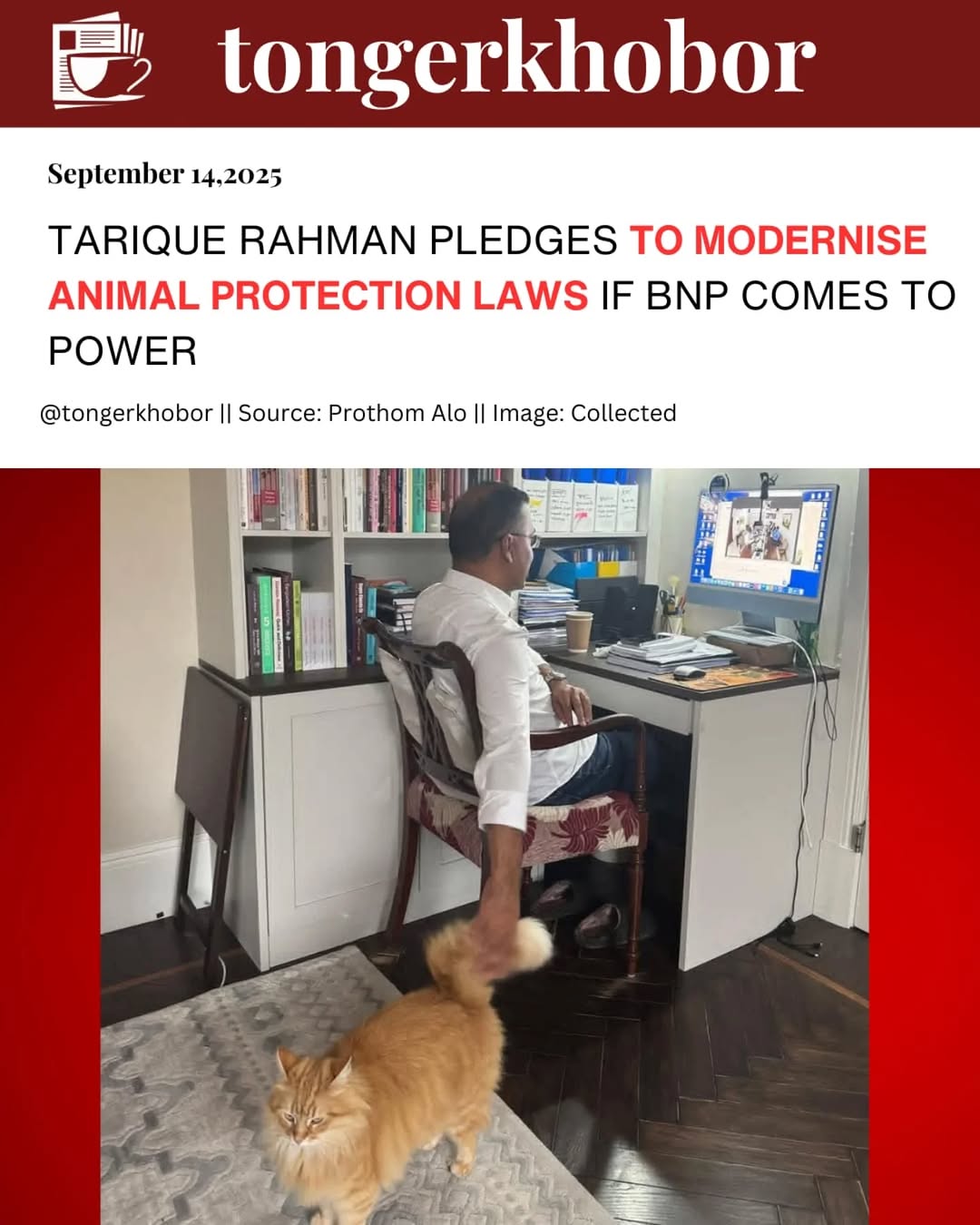BNP’s acting chairman Tarique Rahman has said that, if the BNP comes to power through the people’s mandate, existing laws on the protection of animals...