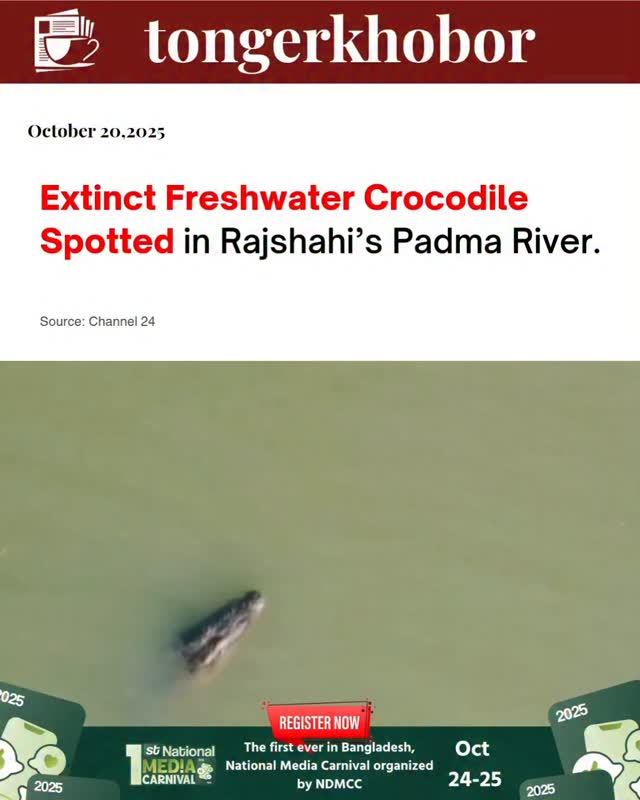 An extinct freshwater crocodile species, the mugger crocodile (Crocodylus palustris), historically common in Bangladesh's major rivers including the P...