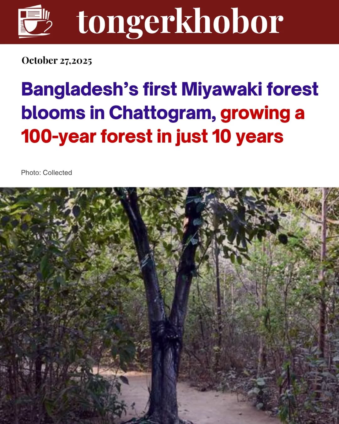 Bangladesh has achieved a major environmental milestone as its first-ever Miyawaki forest — created in Mirsharai, Chattogram — thrives into a dense gr...