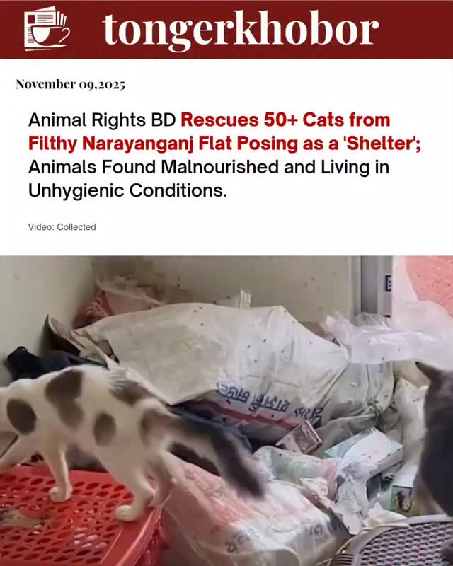 More than 50 cats were rescued from a so-called “cat shelter home” in Narayanganj after Animal Rights BD intervened following reports of extreme negle...