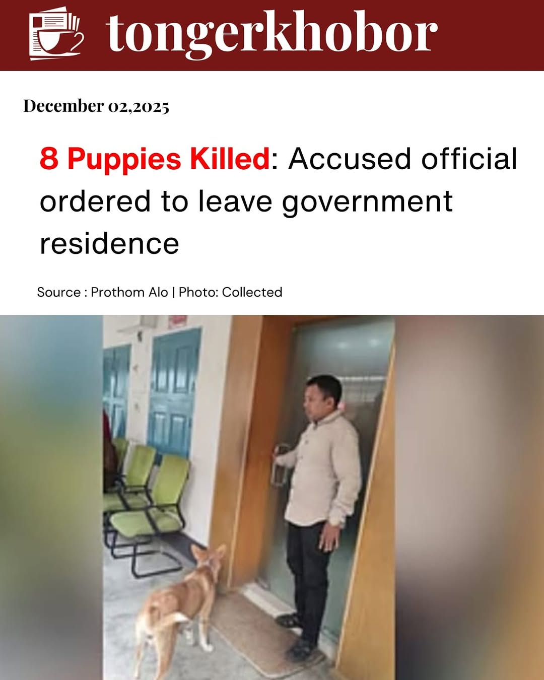 An upazila administration official has been ordered to vacate his government residence over allegations of involvement in the killing of eight puppies...