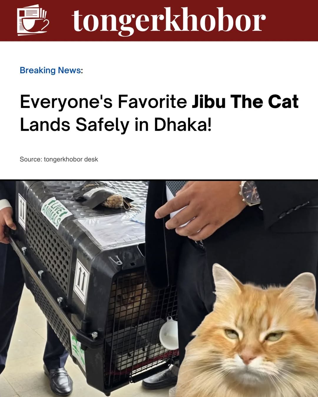 🚨Jibu has landed safely at Hazrat Shahjalal International Airport.