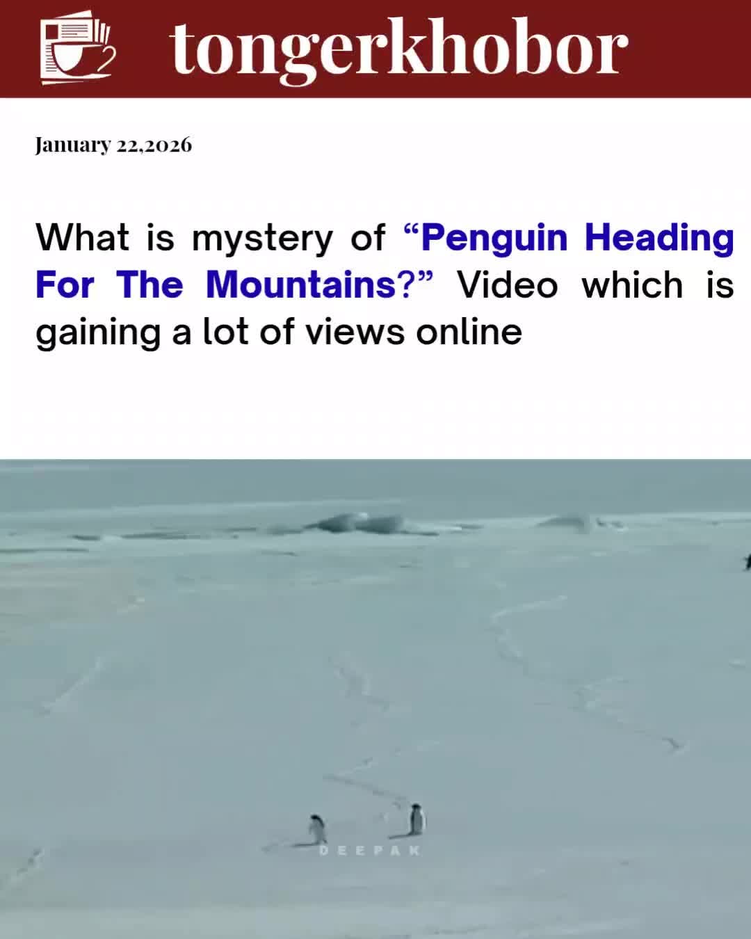 In 2007, filmmaker Werner Herzog captured a moment that still haunts the internet: a lone penguin abandoning its colony—not to feed, not to return—but...